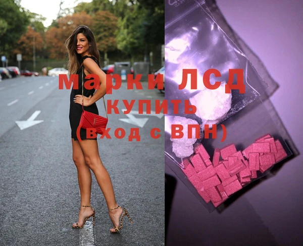 стаф Снежногорск
