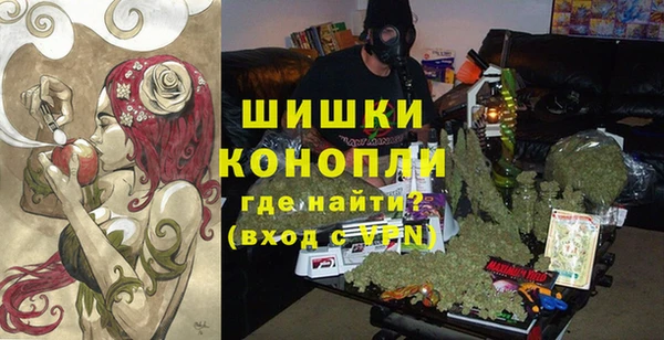 стаф Снежногорск