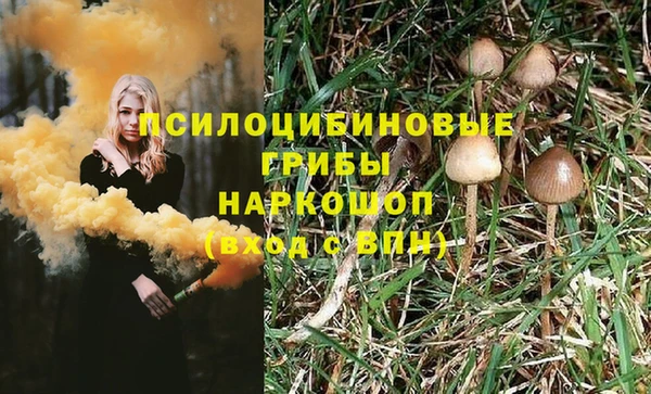 apvp Богородицк